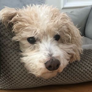 Meet your Posher, Bri